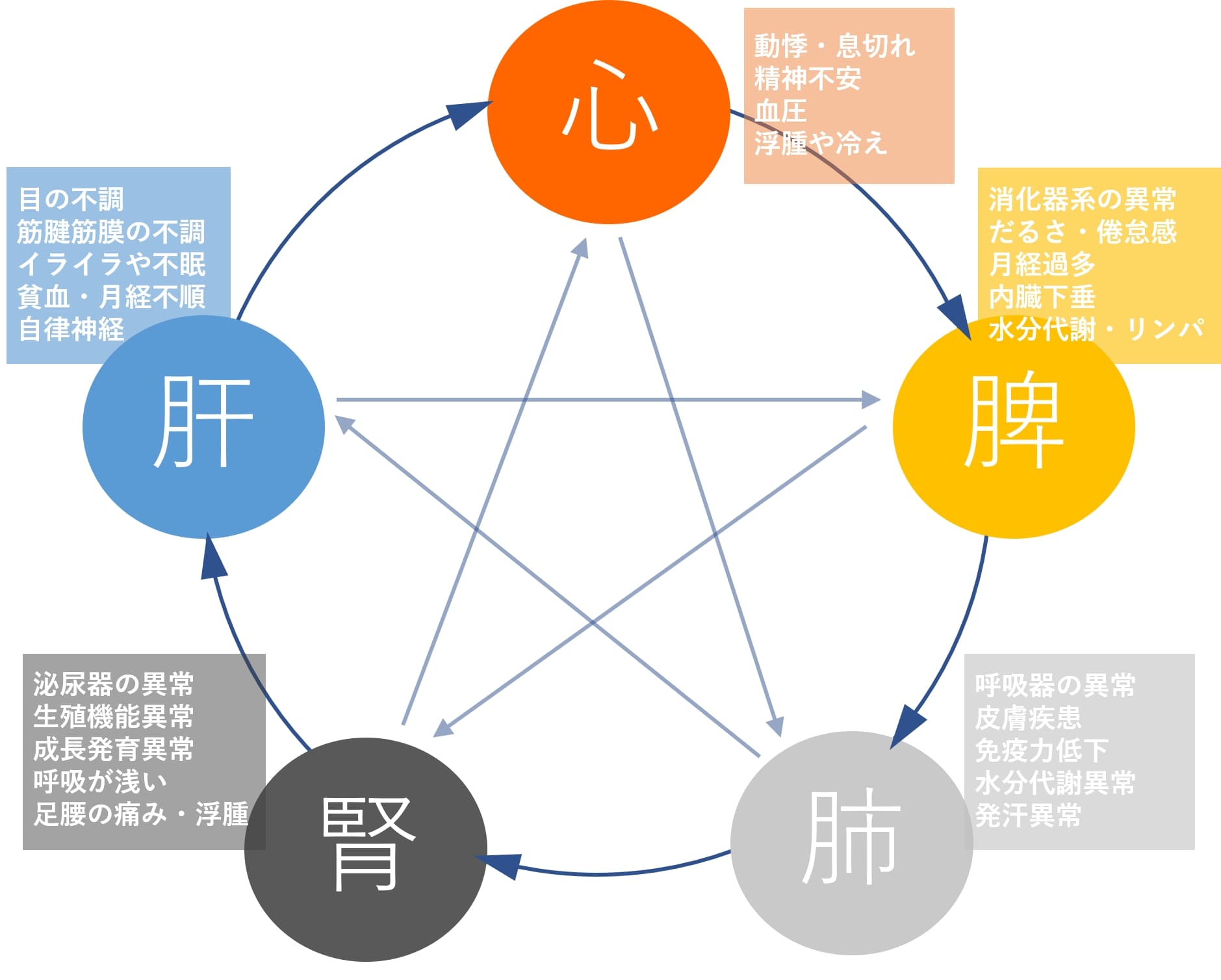生物医学の意味