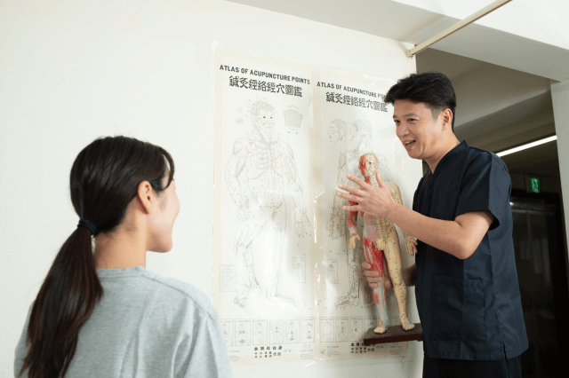 人体模型を使った説明