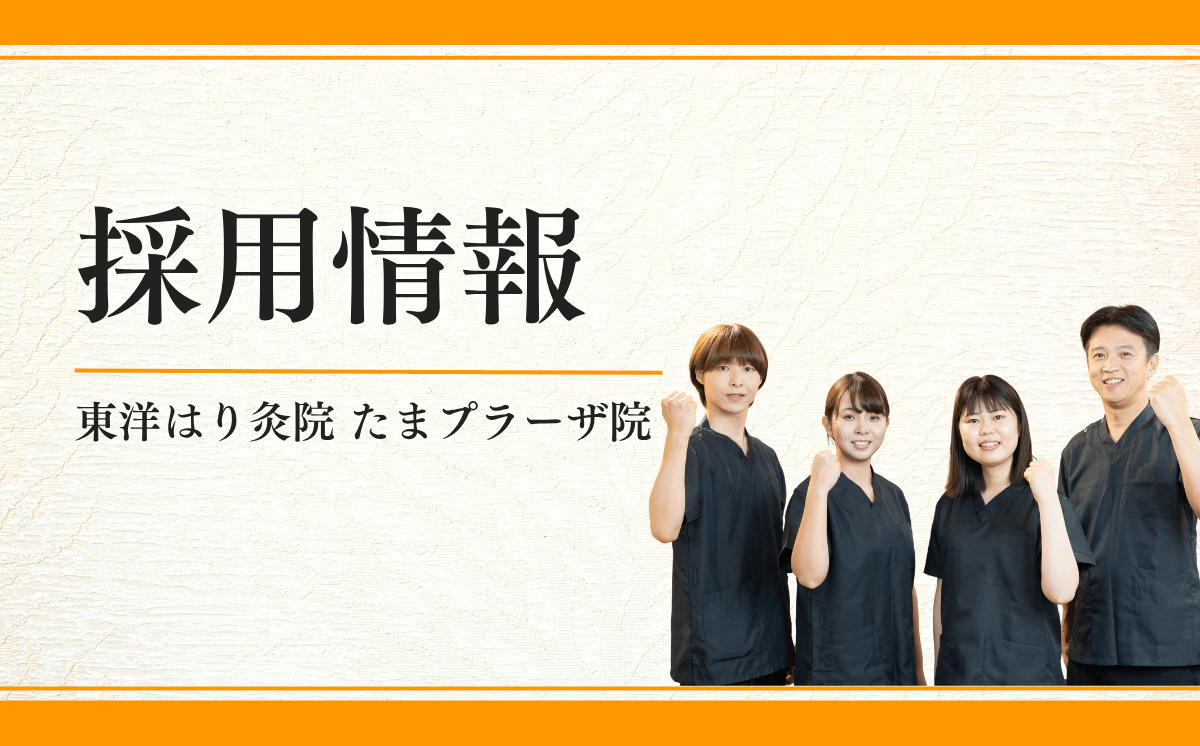 採用情報