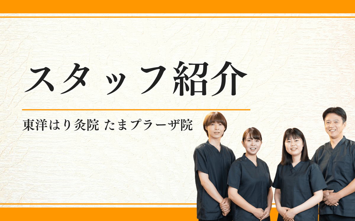 スタッフ紹介