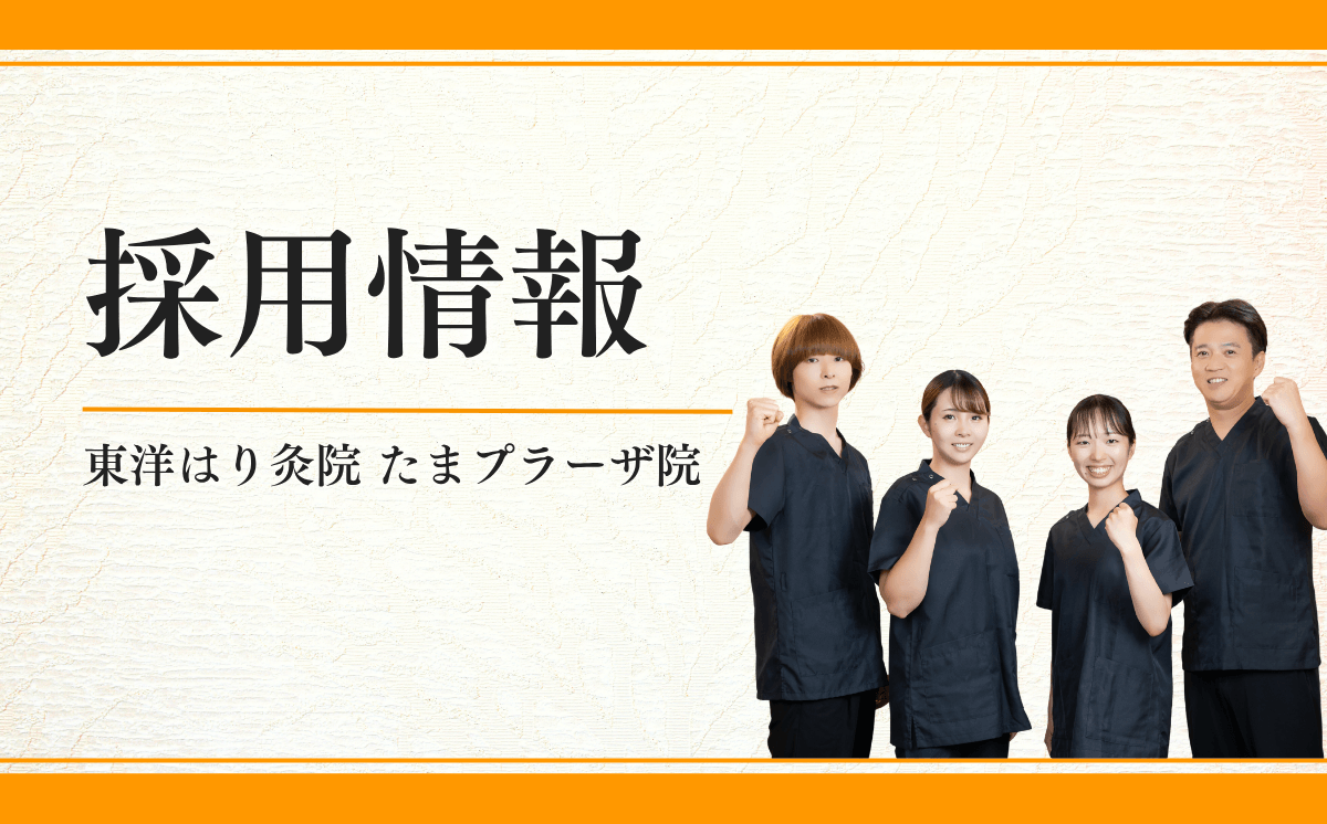採用情報