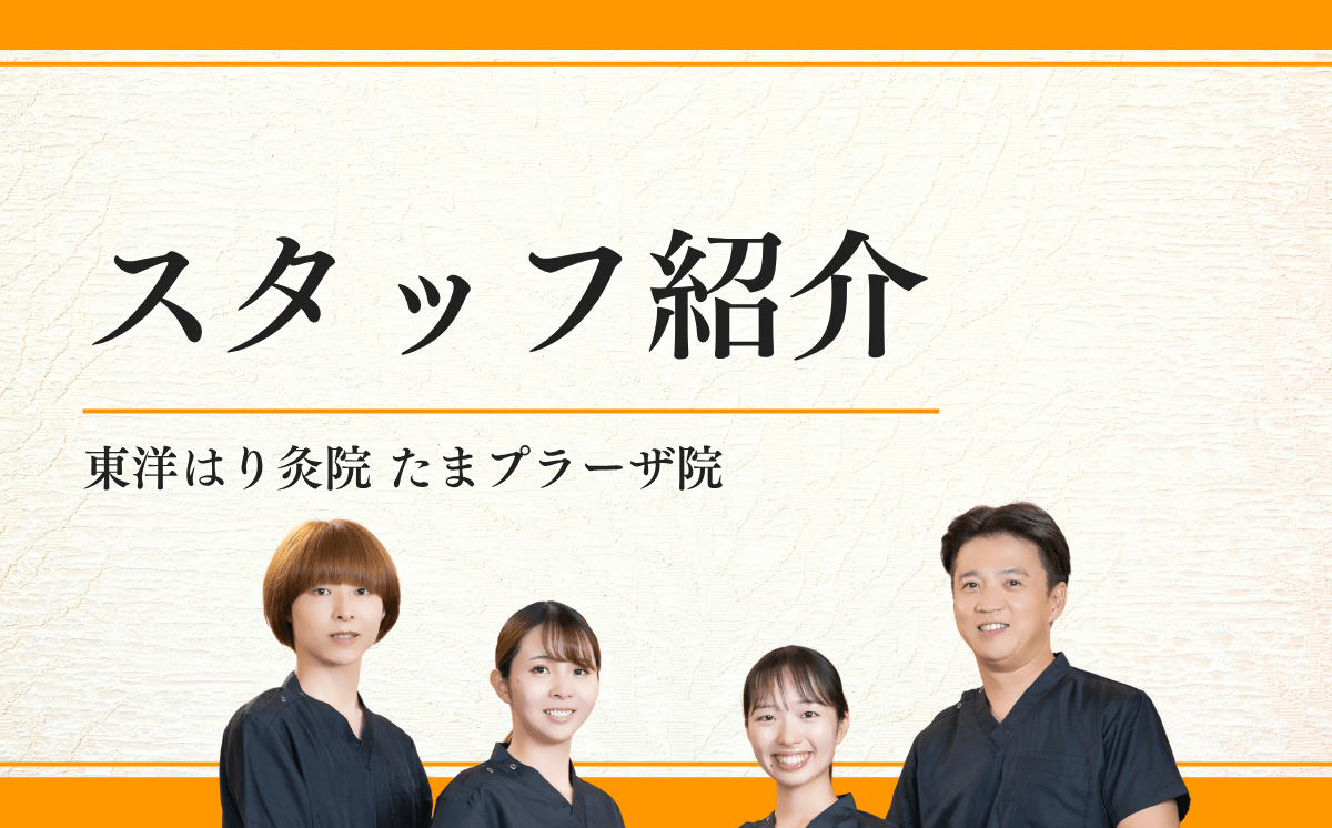 スタッフ紹介
